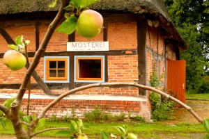 mosterei mosterei